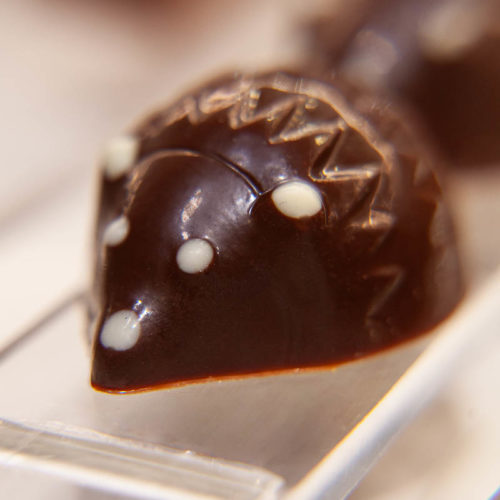 Chocolat Hérissons de Sauvabelin Maison Buet