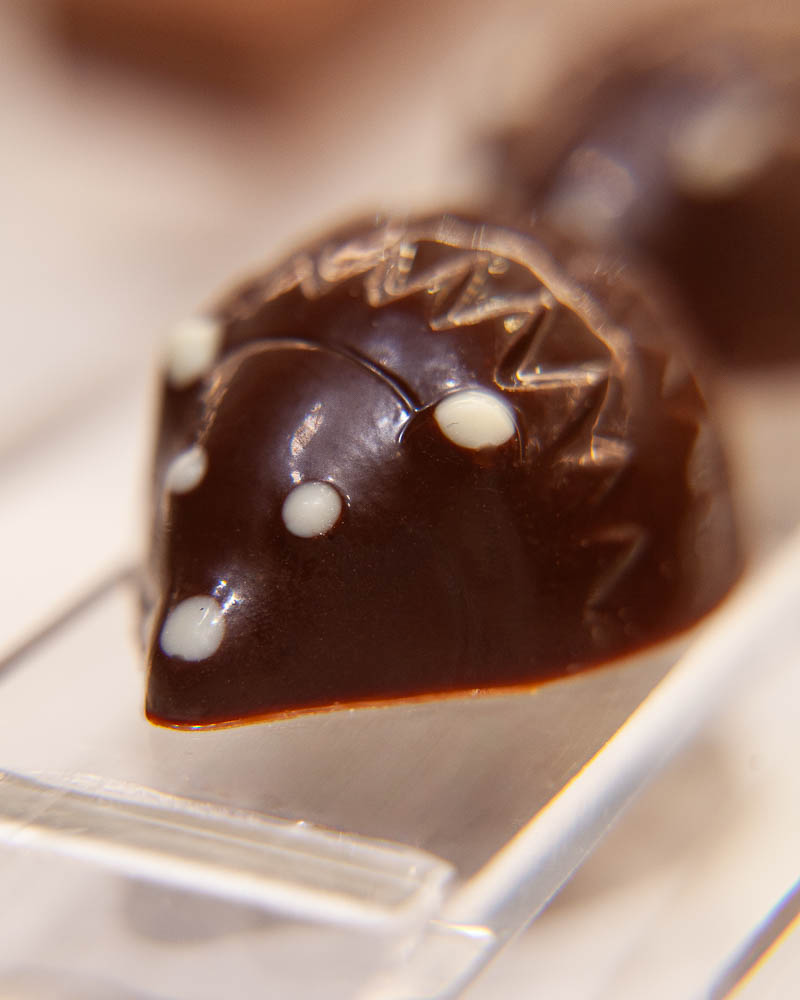 Les Hérissons de Sauvabelin 2 Chocolat Hérissons de Sauvabelin Maison Buet
